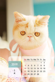 <b>2019年1月日歷壁紙</b>