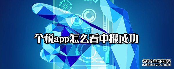 個稅app怎么看申報樂成