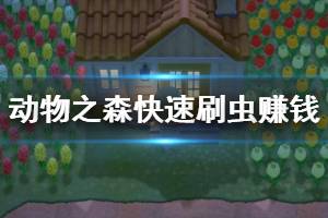 《集合啦動物森友會》怎么快速刷錢？快速刷蟲賺錢技巧