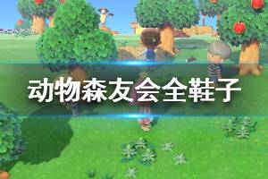 《集合啦動物森友會》鞋子類型有哪些 全鞋子售價(jià)分享