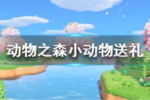 《集合啦動物森友會》怎么送禮物給小動物 送禮給小動物方法一覽