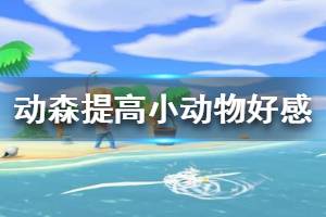 《集合啦動物森友會》怎么提高小動物好感 小動物好感度提升方法一覽