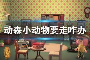 《集合啦動物森友會》小動物要走怎么辦 小動物要走處理方法介紹