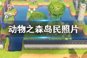 《集合啦動物森友會》島民照片怎么獲得 島民照片獲取方法介紹