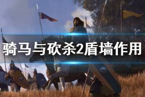 《騎馬與砍殺2》盾墻陣型好用嗎 步兵盾墻陣型作用介紹