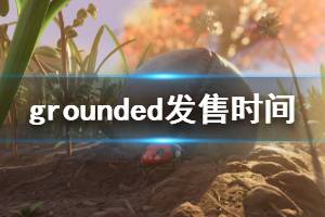 《Grounded》什么時(shí)候發(fā)布 游戲發(fā)售時(shí)間介紹