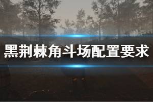 《黑荊棘角斗場(chǎng)》配置要求介紹 配置要求高嗎