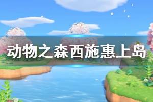 《集合啦動物森友會》西施惠什么時候來 西施惠上島條件介紹