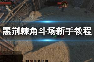 《黑荊棘角斗場》新手教程圖文全面解析 新手怎么玩？