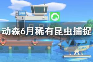 《集合啦動物森友會》大角花金龜怎么抓 6月稀有昆蟲捕捉技巧分享