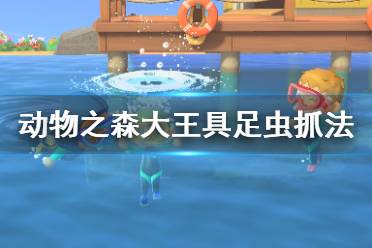 《集合啦動物森友會》大王具足蟲怎么抓？大王具足蟲抓法技巧