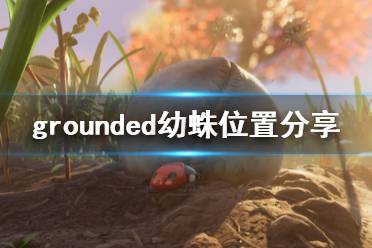 《禁閉求生》小蜘蛛在哪 grounded幼蛛位置分享