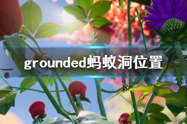 《禁閉求生》螞蟻巢在哪 grounded螞蟻洞位置分享