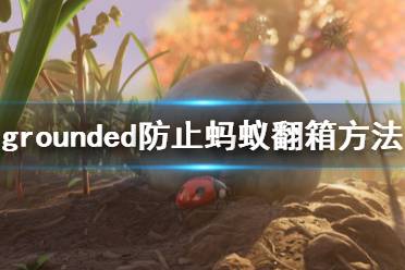 《禁閉求生》螞蟻翻箱子怎么辦 grounded防止螞蟻翻箱方法推薦