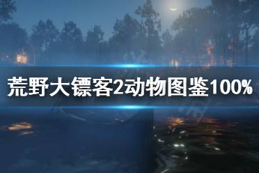 《荒野大鏢客2》動物圖鑒滿級怎么玩 動物圖鑒100%方法分享