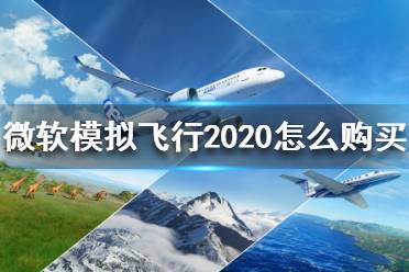 《微軟模擬飛行2020》怎么購買？購買方法介紹