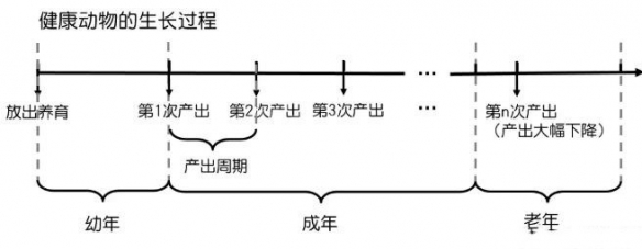 游俠網(wǎng)