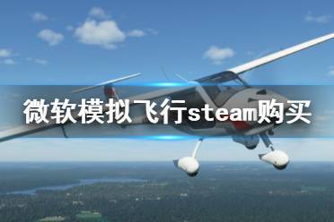 《微軟模擬飛行2020》steam叫什么 steam購買方法介紹