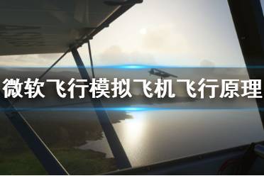 《微軟飛行模擬》飛行原理是什么 飛機飛行原理介紹