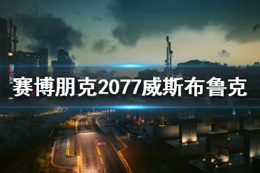 這里給大家?guī)淼氖琴惒┡罂?077夜之城威斯布魯克介紹