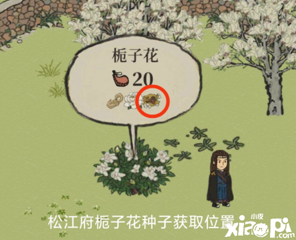 《江南百景圖》長(zhǎng)相思梔子花種子獲取要領(lǐng)