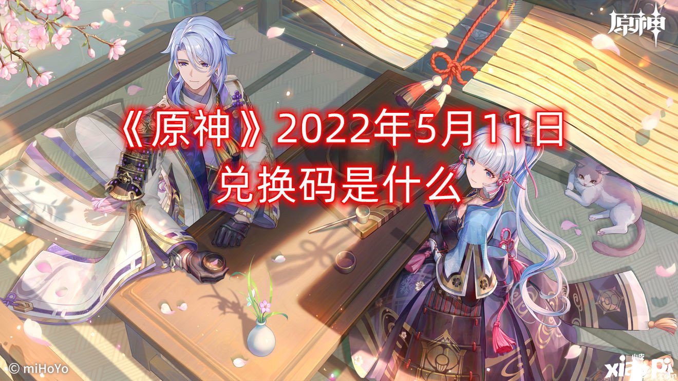 《原神》2022年5月11日兌換碼是什么