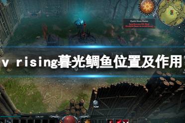 《吸血鬼崛起》v rising暮光鯛魚有什么用？v rising暮光鯛魚位置及作用