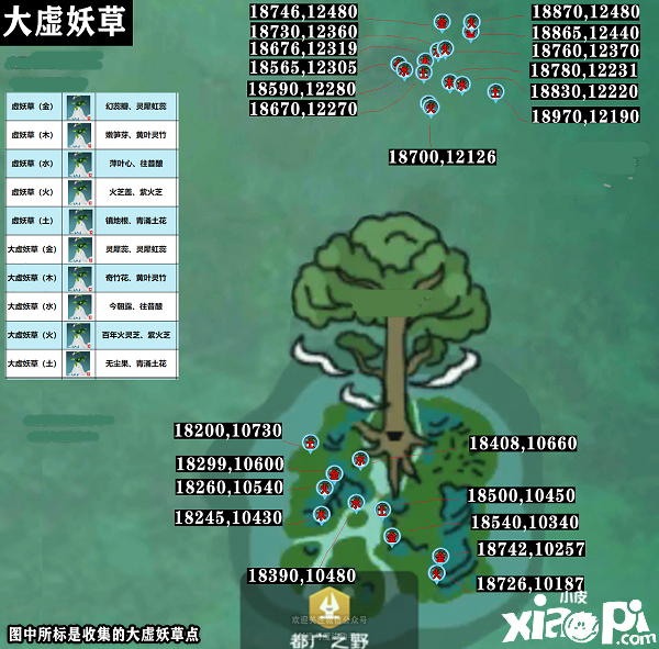 《締造與邪術》大虛妖草漫衍在那邊？大虛妖草位置漫衍圖大全