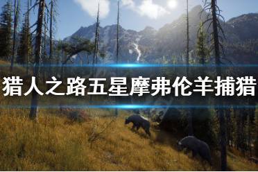 《獵人之路》五星摩弗倫羊怎么抓？五星摩弗倫羊捕獵方法介紹