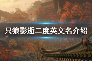 《只狼影逝二度》英文名是什么？英文名介紹