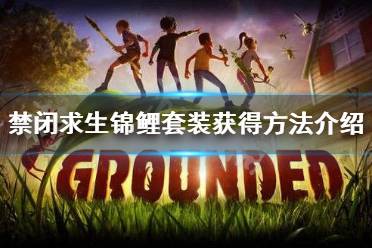 修復(fù)材料為1個(gè)大葉藻條、1個(gè)錦鯉鱗片